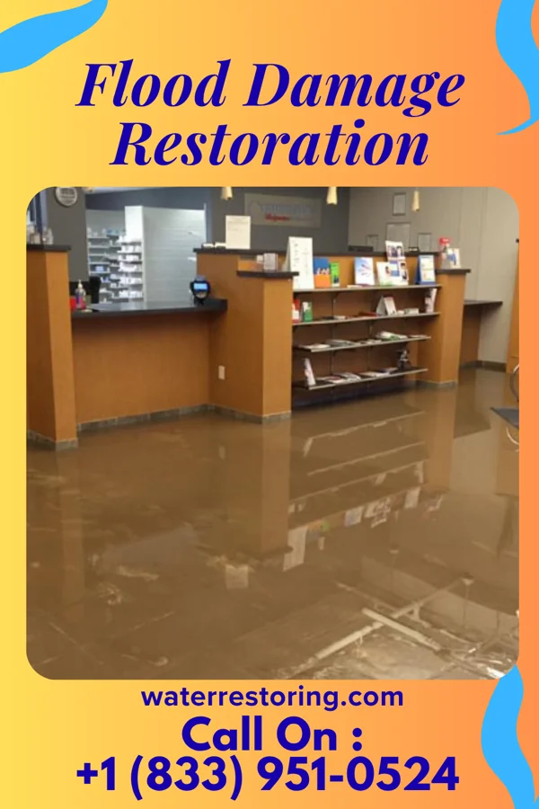 Flood Damage Restoration in Hooppole, IL